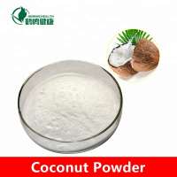 coconut juice concentrate powder Milk tea raw material Instant coconut milk powder